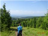 Trdinov vrh in Miklavž na Gorjancih in še izbira dobre smeri žez zadnji travnik do ceste