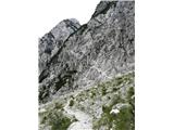 V teh skalah se začne varovan apot na Ledine -Slovenska.