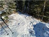 Na lovski poti proti Krstenici je bilo pod centimetrom snega sem ter tja skrito nekaj ledu.