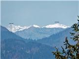 Polhovec 948 m približan pogled malo pod vrhom, v sredini vrhovi nad Soriško planino