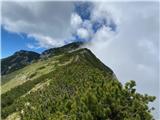 Na vrhu pa namesto razgledov po gorah megla, ki leze iz Bistrice. Kompotela.