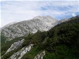 Mali Kokrski Grintovec 2450m iz poti nad Kokrskim sedlom