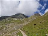 20.-21. julij 2020: Habicht (3277 m) in Kalkwand Začetek vzpona od koče proti Habictu, ki je še v jutranji megli