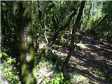 Korčula - Kom 508 m ob poti je počivališče