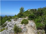 Korčula - Kom 508 m na grebenu zavije pot v desno