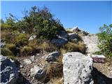 Korčula - Kom 508 m malo pod vrhom je skrinjica z žigom in vpisno knjigo