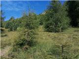 Mogočni Piz Linard (3410 m) z okolico, 25.-26.8.2020 (Silvretta) Pot k Chamanna dal Linard I.