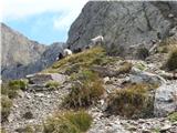 Sarntalske Alpe-četri dan-osvajanje najvišje vrha teh Alp-Hirzer -2741m 