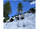 Sneg malo pod sedelcem med Macesnovcem in Dimniki.