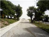 Olympos (Lesbos - Grčija) prečkanje asfaltne ceste