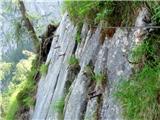 Martuljški slapovi-bivak Za Akom 