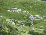 To so še ruševine pastirskih domovanj s planine Zgornji Tosc.