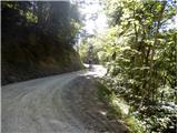 cesta na Selo je kar strma in sitna, zaradi peska pod kolesi spodrsava