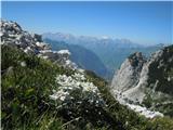 Velika Montura - Velika Baba - Lanževica še en pogled nad planikami proti Kaninskemu pogorju
