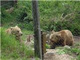 Severni Velebit Zavetišče za medvede Kuterevo