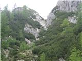 Pogled na zgornji del poti z markirane Alpe Adria Trail poti na Vratica 