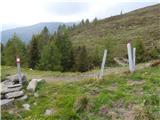 Unteralmhütte (Weneberger Alm) - Scharnik