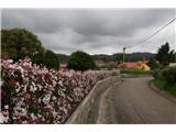 CAMINO del NORTE - asfaltna pot v Santiago Popestritev oblačnega dne