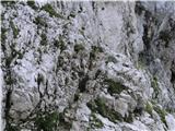 Jeklenice na pristopu na plezalno pot na Visoko Rateško Ponco