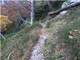 Taka je pot skozi gozd, pa tudi do vrha Srebrnega sedla je dobro vidna