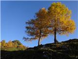 jesenske barve macesnov nad planino Krstenico
