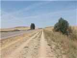 Camino Frances Camino gre pogosto tudi takole ob asfaltni cesti. Tale vodi v kraj Villalcazar de Sirga.