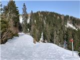 Ob povratku - midva po desni pešpoti, levo zasnežena cesta - na njej še vsaj 1/2 metra snega
