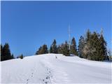 Vrh Grpišce - prostorno, zasneženo, do 2 cm novega snega, nobene sveže stopinje