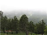 Trnovski gozd (Sinji vrh , Modrasovec) Pogled na Trnovsko planoto