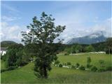 Trnovski gozd (Sinji vrh , Modrasovec) Desno se prikaže Masiv Čavna,zadaj Modrasovec