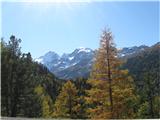 Engadiner Alps - ( Berninapass , St.Moritz , Diavolezza  -  Munt Pers 3207m ) Macesni na tej višini že žarijo