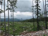 Trnovski gozd (Sinji vrh , Modrasovec) Tam v ovalni daljavi desno za hribom sem začel