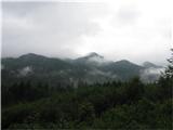 Trnovski gozd (Sinji vrh , Modrasovec) Pogled na večino prvakov Trnovske planote,najvišji Mali Golak