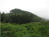 Trnovski gozd (Sinji vrh , Modrasovec) Poti kot labirint,oznake pa so le gozdna cesta-na lastno odgovornost
