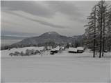 Tržič - Planina Zgornja Konjščica