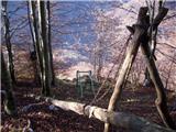 Skutnik-Monte Guarda 1721m stara žičnica za spravilo lesa