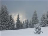 Zima na Travnik