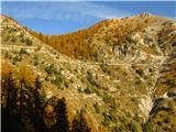Sentiero degli Alpini Iz začetka poti, pogled iz gozda
