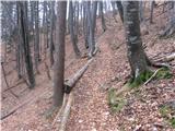 Čemšenik -Baba Pot je vseskozi lepo urejena, proti vrhu sicer malo strma.