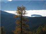 Medvedova konta-Lipanca-Mali Draški vrh 