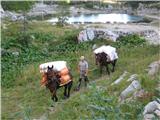 pri oskrbi koče pomagajo tudi konji domačinov iz Bohinja