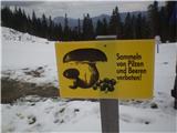 prepovedano nabiranje gob in sadežev na posesti v Avstriji 