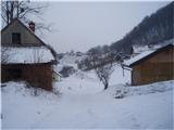 ...sneg, veter, zameti...skozi gorice Zbelovske gore...