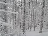 Pravljična zima na Boskovcu.