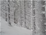 Pravljična zima na Boskovcu.
