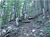 Olipova planina - Hrašenska planina