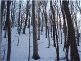 Dreveniška gora ...v nekoliko bolj konkretno zasneženo in delno poledenelo strmino sem prvi po sneženju zastavil korak...